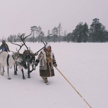 Фото: Анна Петина