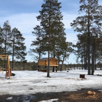 фото https://admsr.ru