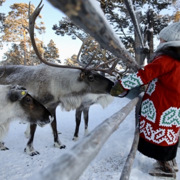 Фото: Александр Онопа