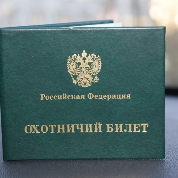 фото: smartik.ru