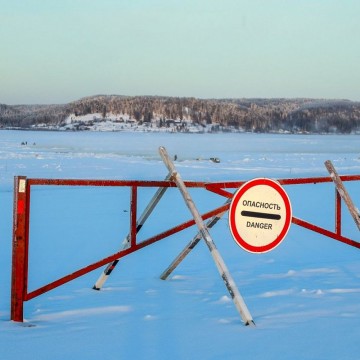 Фото: Игорь Дементьев