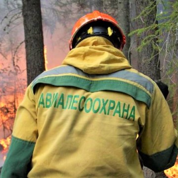 Фото ТВ "Югра"