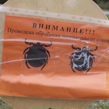Фото: Александр Онопа