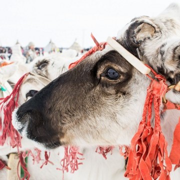 Фото: Андрей Загуменнов