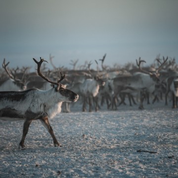 фото Андрей Сорокин