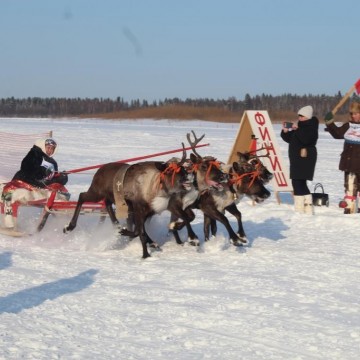 Фото Т. Меровой