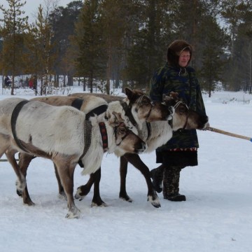 Фото Л. Теткиной