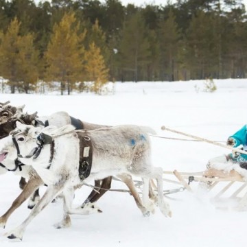 фото https://admsr.ru