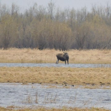 Фото инспекторов заказника "Берёзовский"