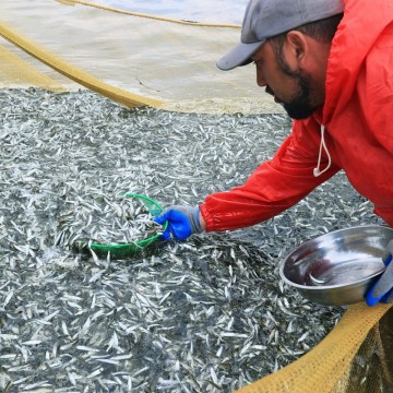 Фото: Михаил Андреев