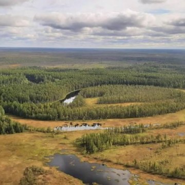 Над тайгой!